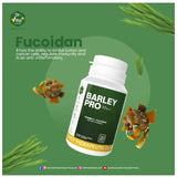 DR. VITA BARLEY PRO- BEST BARLEY TABLET SUPPLEMENT