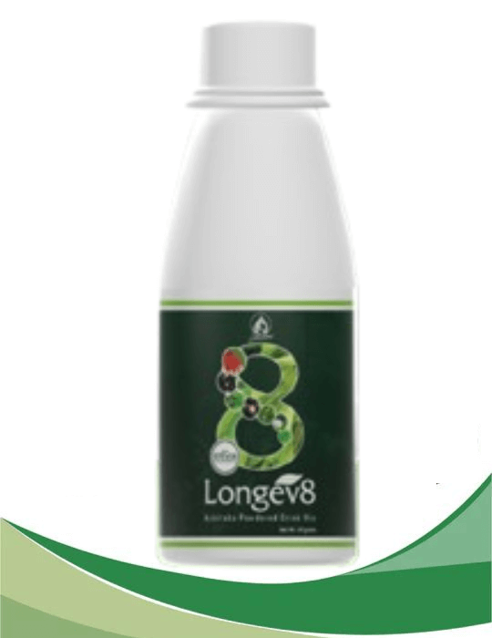 BUY 3+1 FREE PROMO LONGEV8 ASHITABA MIX DRINK